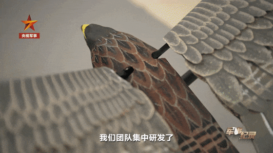 感受下！中国无人机已进化到这种程度了：仿鹰、仿鸽、仿蝴蝶、仿甲虫…