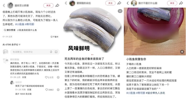 它被网友称为“最歹毒的鱼” 营养师却建议多吃