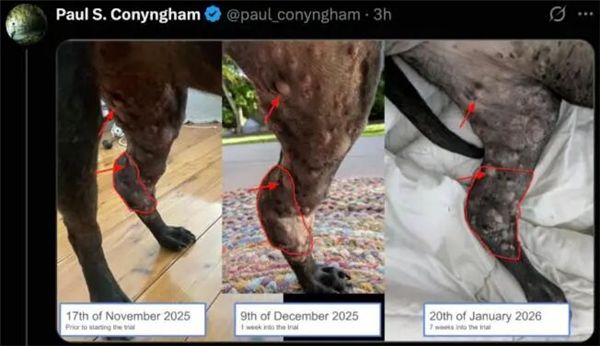 “问两句AI” 就能开发抗癌疫苗?真相并非如此！