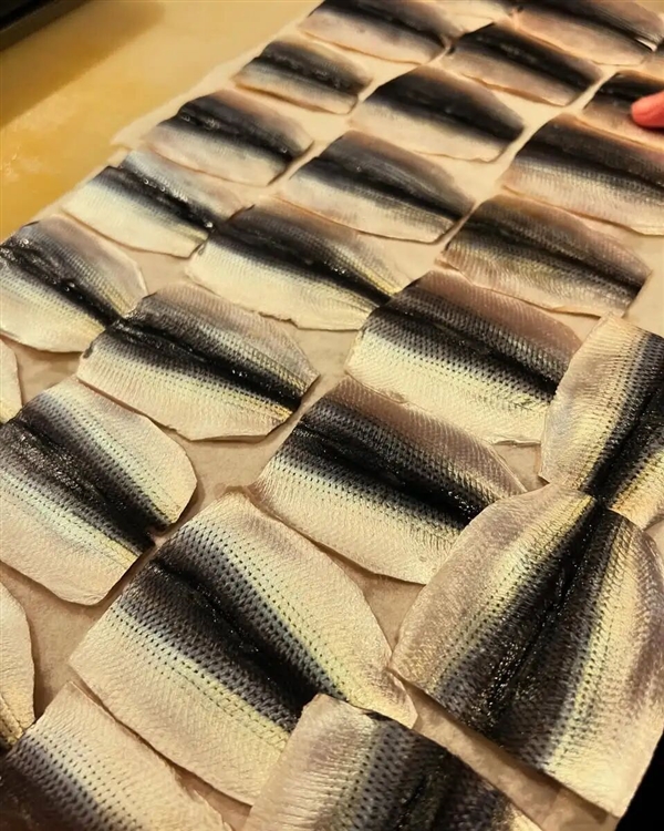 它被网友称为“最歹毒的鱼” 营养师却建议多吃