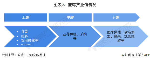 图表2：蓝莓产业链情况