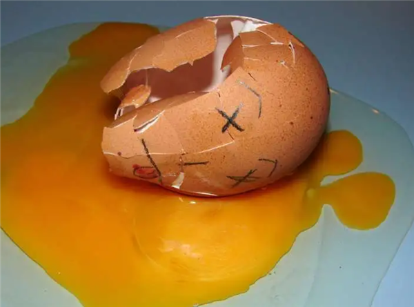 为什么家禽会产下未受精的蛋 这种浪费行为真的符合天理吗