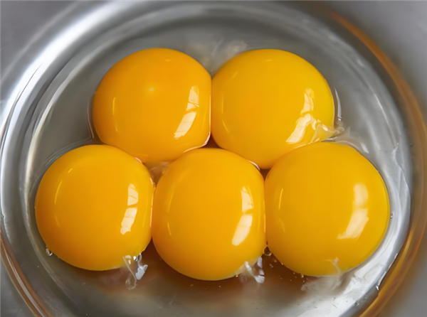 为什么家禽会产下未受精的蛋 这种浪费行为真的符合天理吗