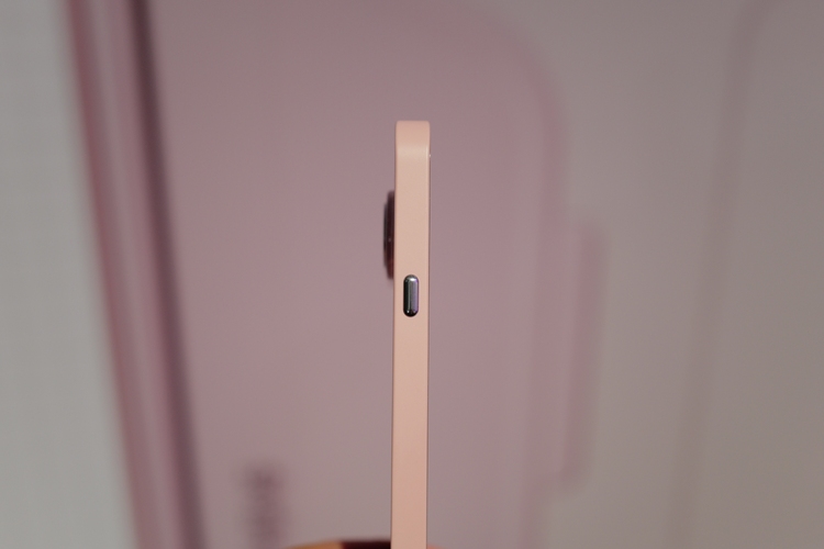 图源：不客观实验室