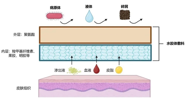 伤口“晾干”好 还是“保湿”好？很多人都不知道