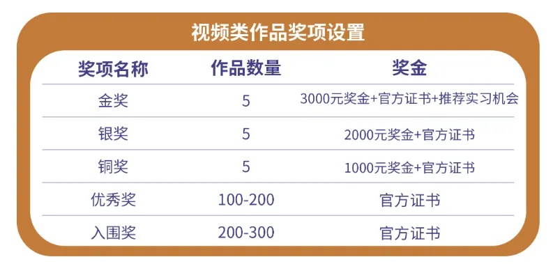 视频类作品奖项设置