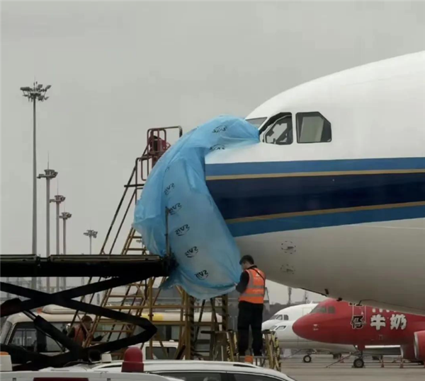 雷达罩疑脱落！上海飞深圳航班遭鸟击紧急返航 南航通报