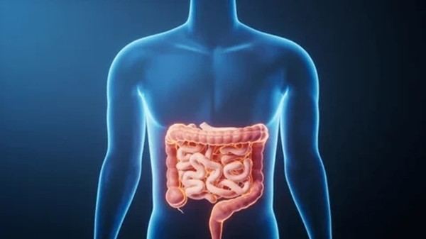 这4种癌症早期筛查真的有用！劝你立马收藏