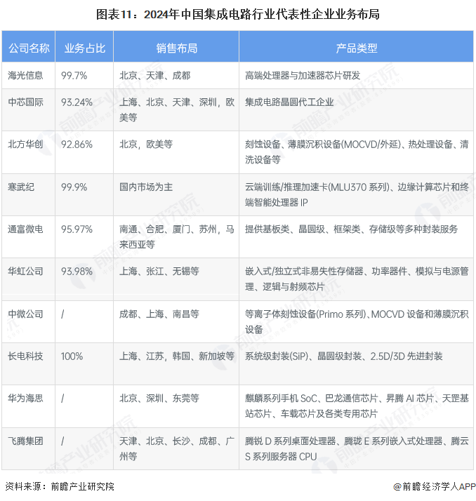 图表11：2024年中国集成电路行业代表性企业业务布局