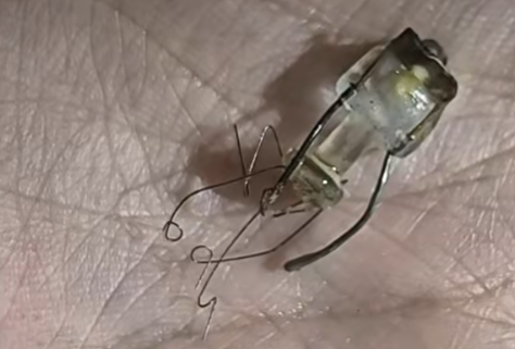 华莱士汉堡被曝吃出破损灯具！消费者拒退款 店家：正在核实