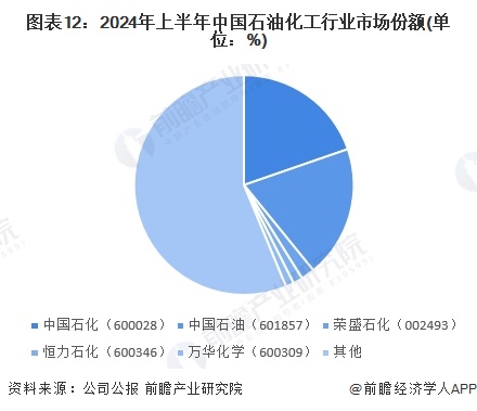 图表12：2024年上半年中国石油化工行业市场份额(单位：%)