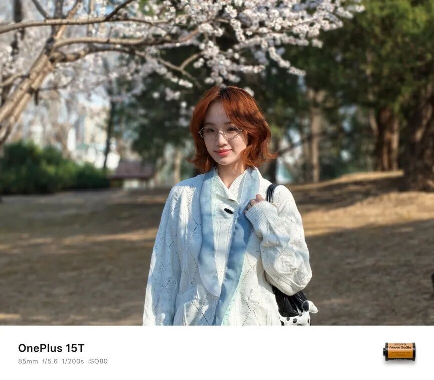 一加 15T全面评测：小屏大魔王，给到夯