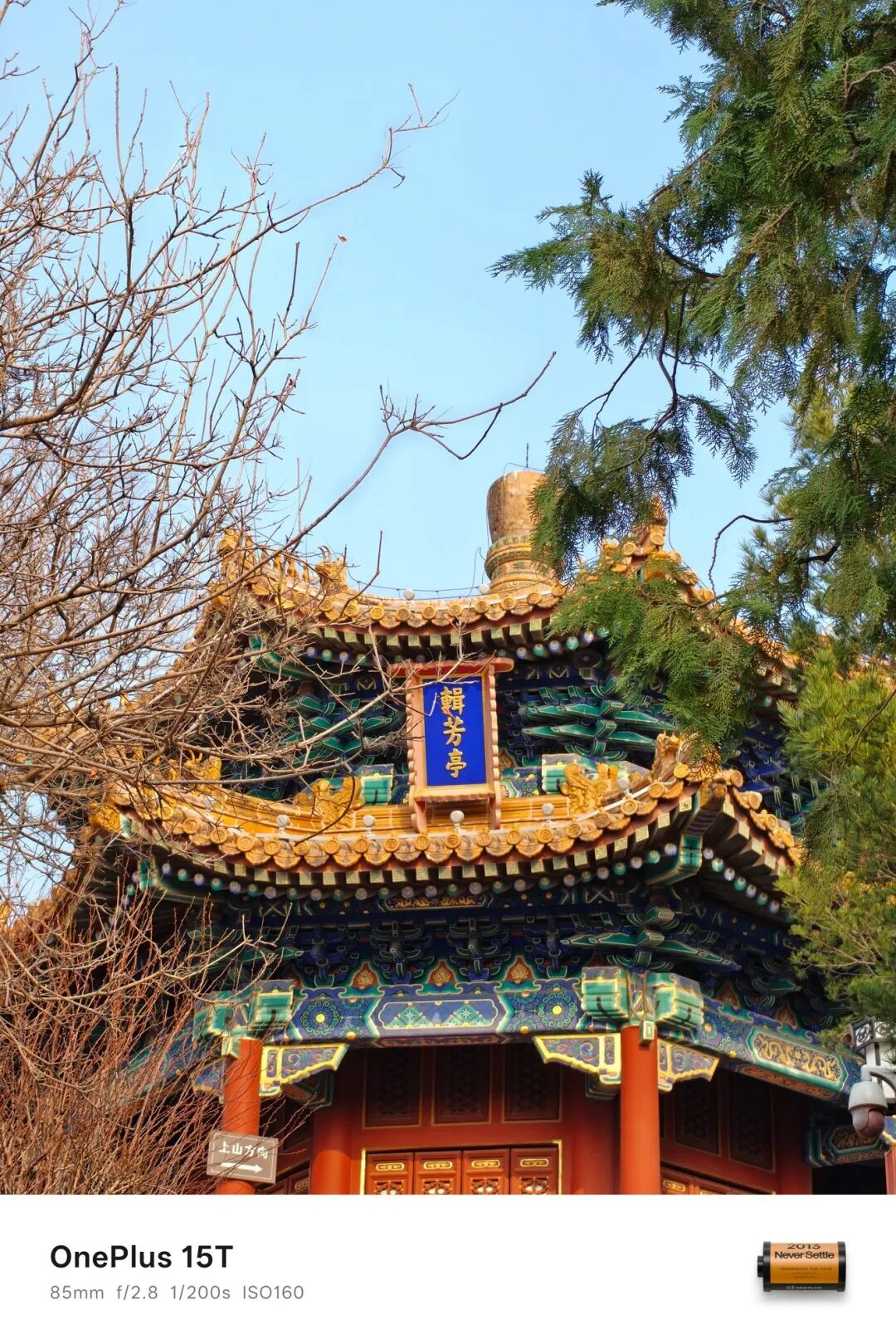 一加 15T全面评测：小屏大魔王，给到夯