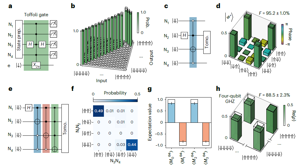 图丨Toffoli 门的实现以及贝尔态、四比特 GHZ 态制备（来源：Nature Electronics）