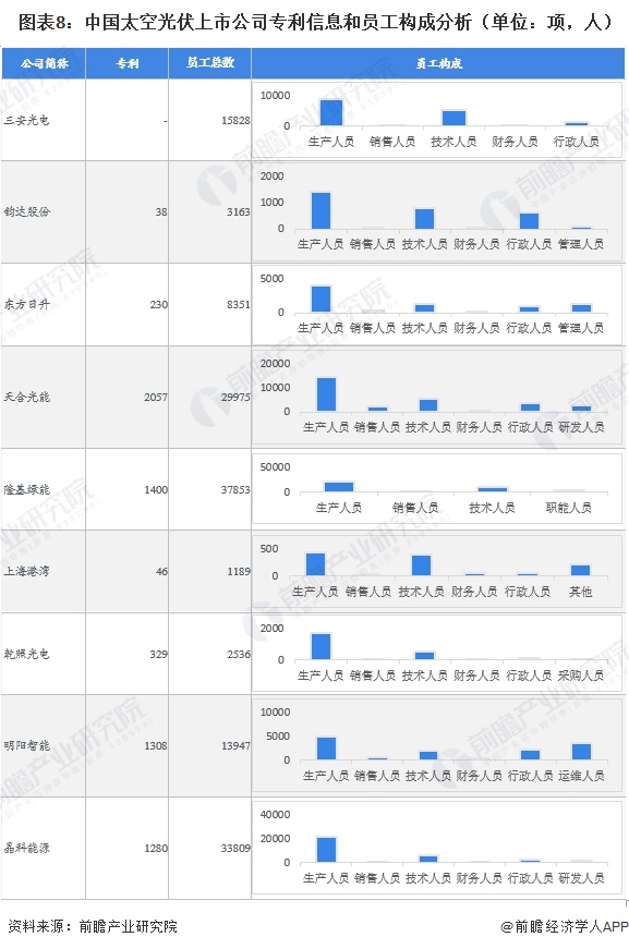 图表8：中国太空光伏上市公司专利信息和员工构成分析（单位：项，人）