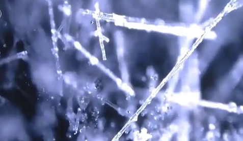 后果严重！男孩玩灭火毯全身扎满超细玻璃纤维