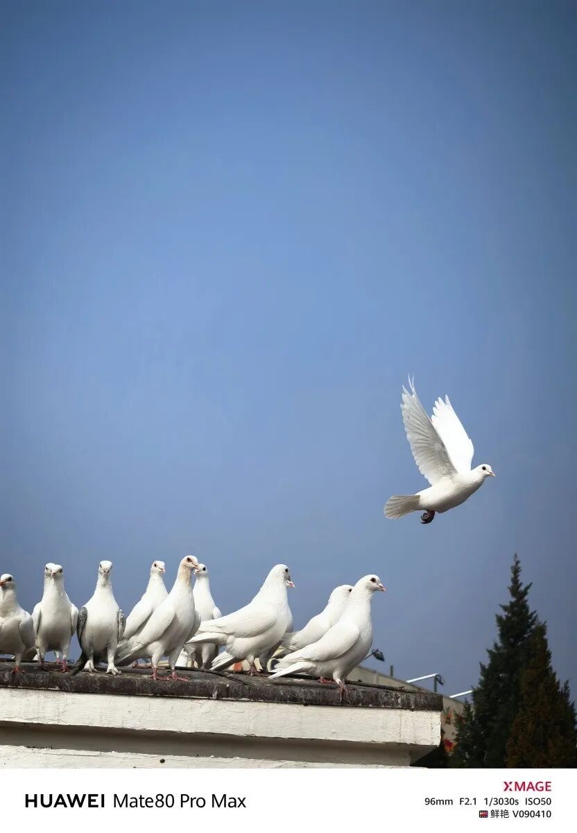 华为 Mate 80 Pro Max风驰版全面评测：把风吹进旗舰