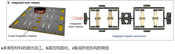 国防科大造了个纸片机器人，登上Nature子刊