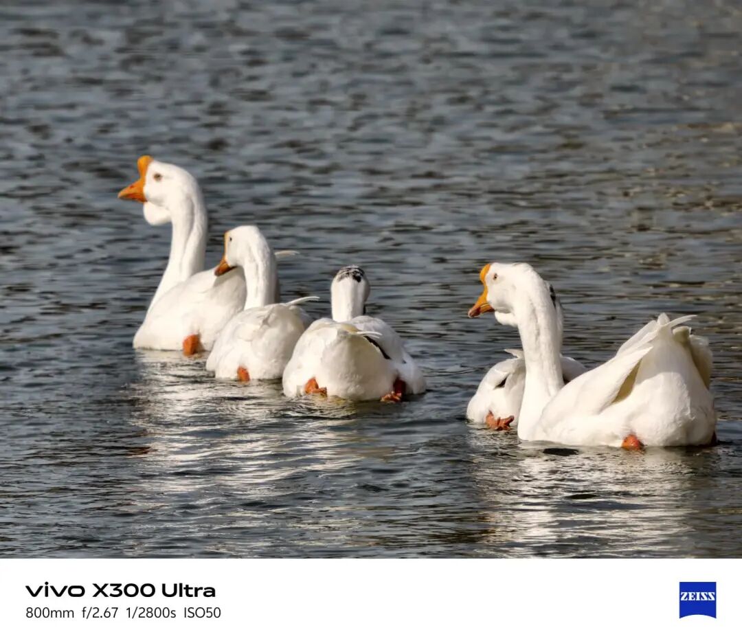 vivo X300 Ultra全面评测 手机里的“专业V单”究竟有多能打？