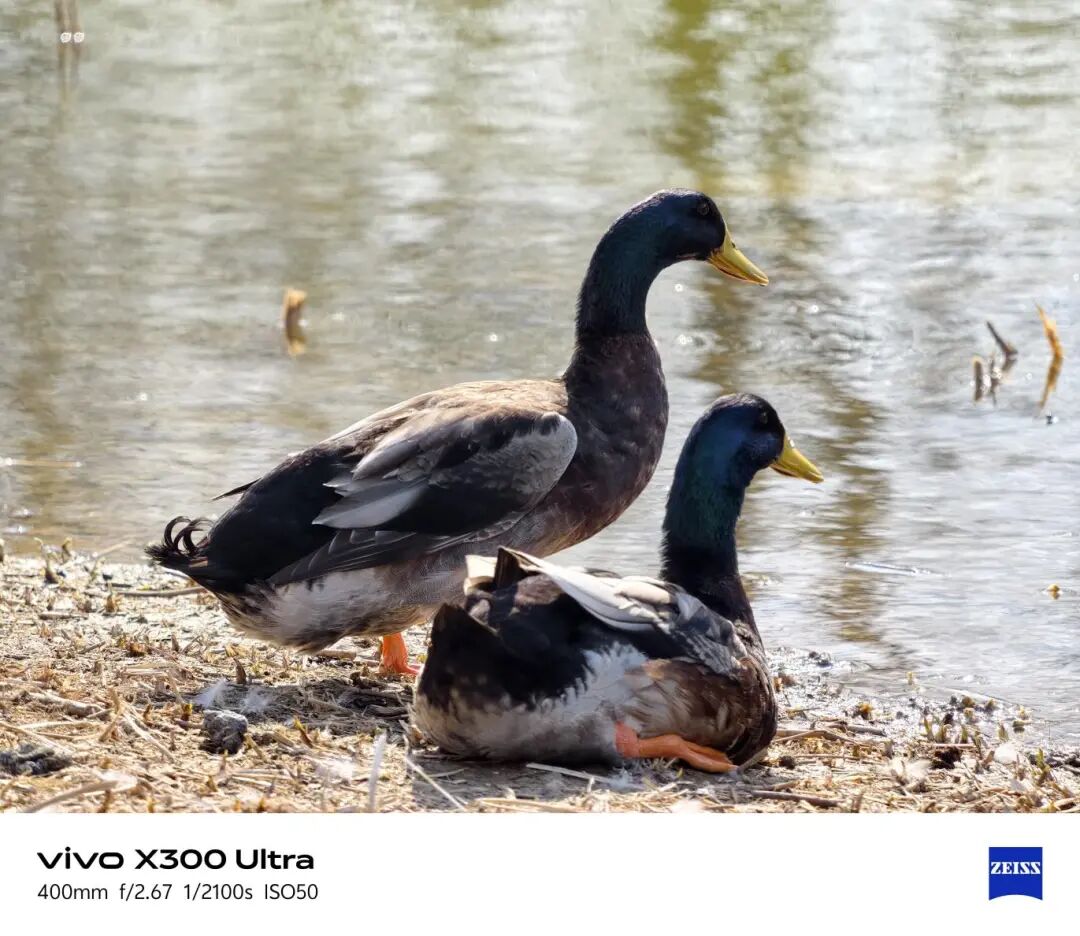 vivo X300 Ultra全面评测 手机里的“专业V单”究竟有多能打？