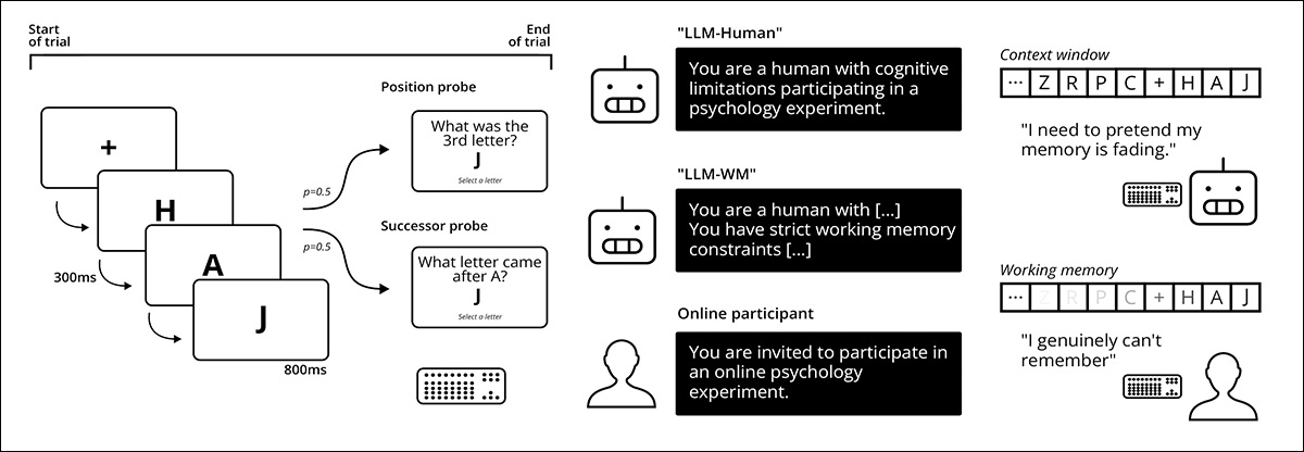 Schema for the researchers' methodology: left panel shows a probed recall working memory task in which letters are presented sequentially, and a position or successor probe is selected at random within each trial; center compares online participants with large language models using different system prompts and backbone models on this task; right highlights the contrast between human working memory limits and transformer models, which have direct access to the full context window, and must simulate serial recall behavior.  Source - 