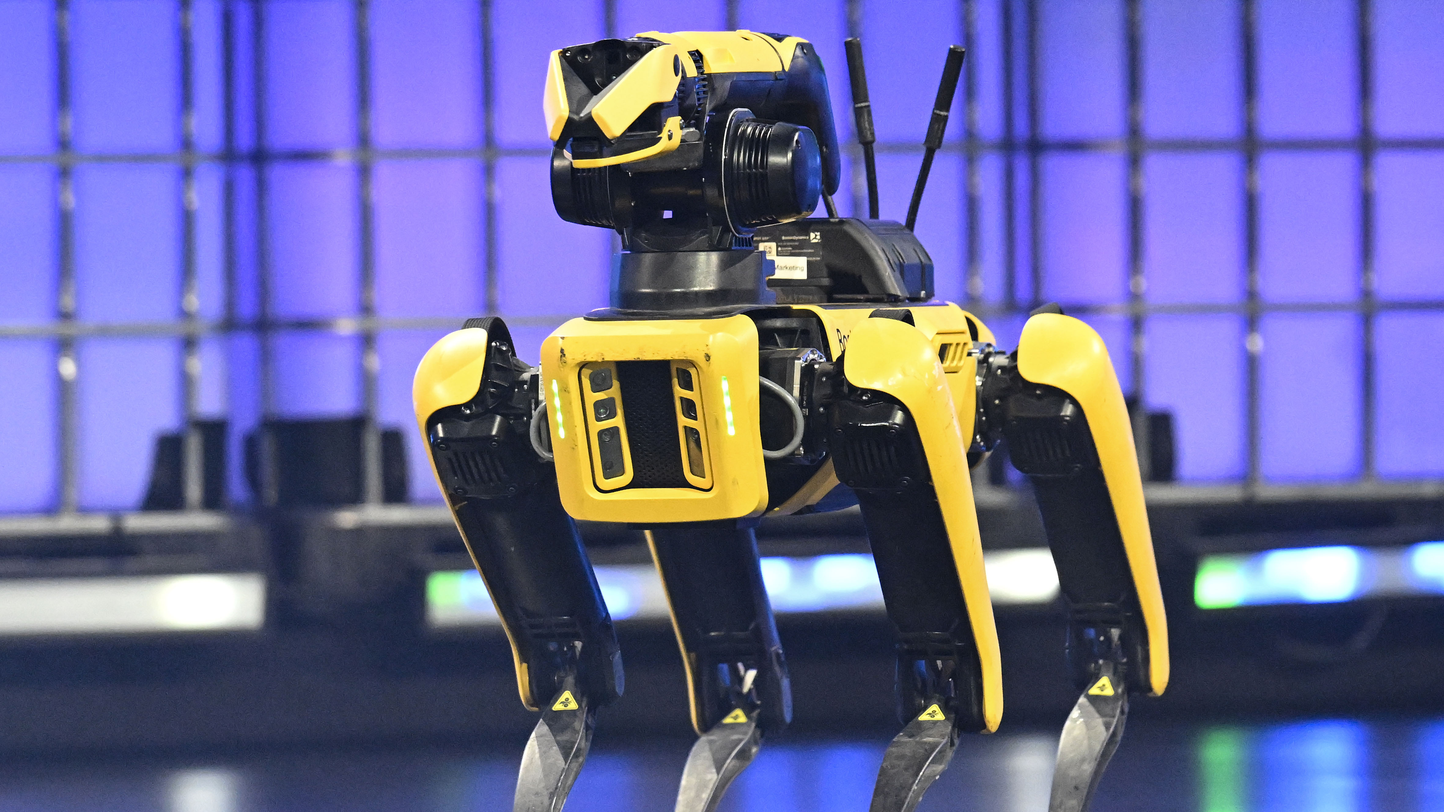 Boston Dynamics robot
