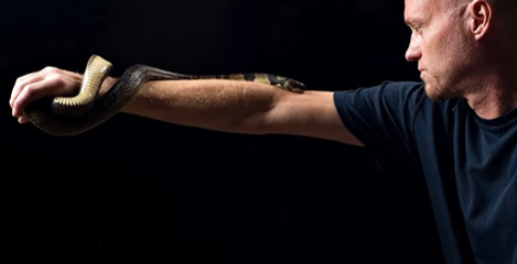 当代欧阳锋！美国男子20年挨毒蛇咬200余次 血液抗体或能解13种蛇毒