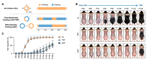 很多人以为超健康！如此吃饭真的可能会让你变秃