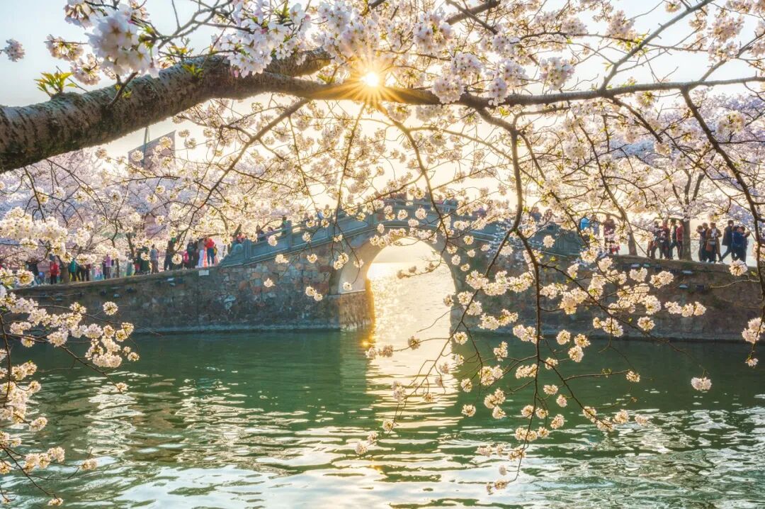 图虫创意-668388943876718596 (1).jpeg