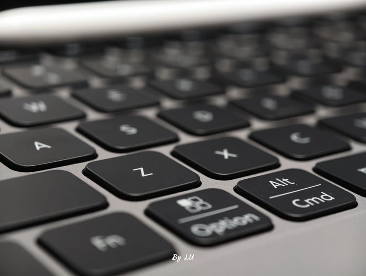 图源：不客观实验室