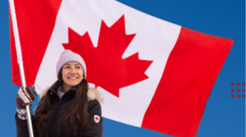 中国车企闯加拿大，为何拟纯电、混动、插混齐上阵？