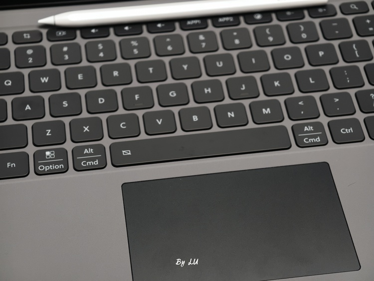 图源：不客观实验室