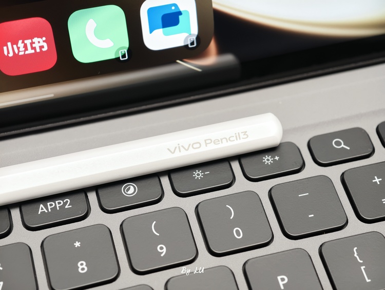 图源：不客观实验室