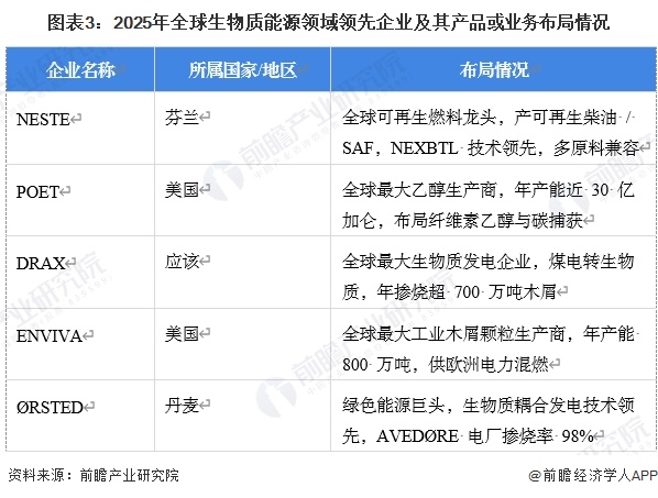 图表3：2025年全球生物质能源领域领先企业及其产品或业务布局情况