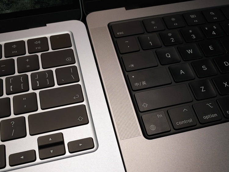 图源：不客观实验室