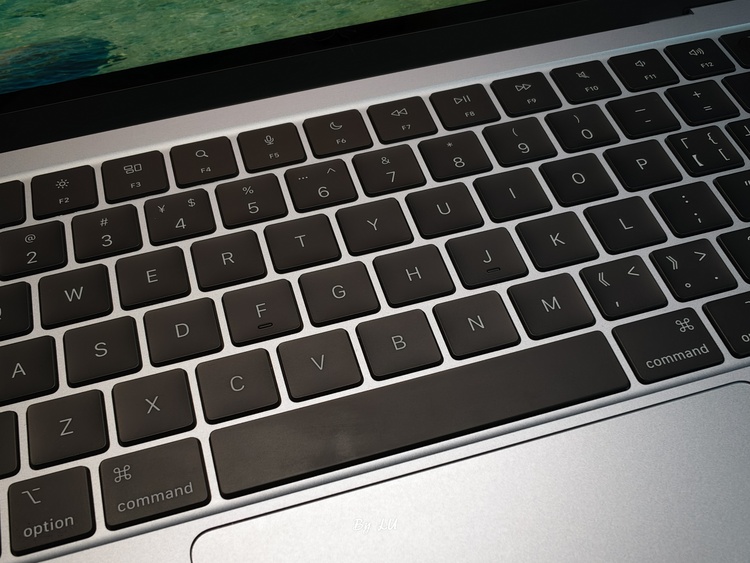 图源：不客观实验室