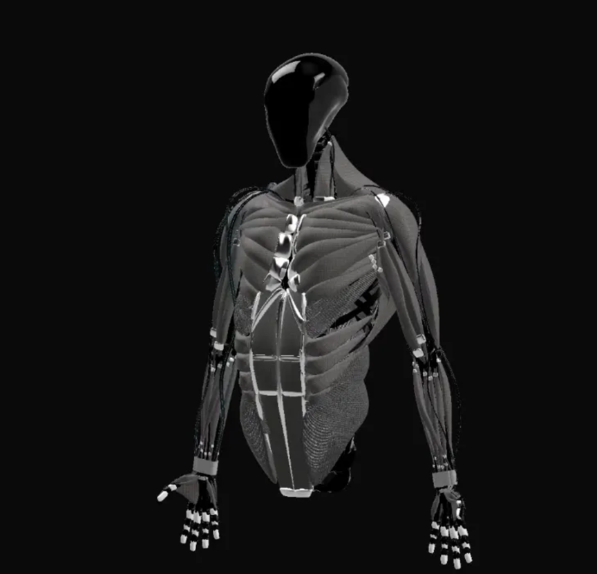 （来源：Clone Robotics）