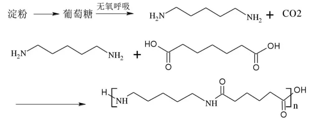 生物基PA56合成路线