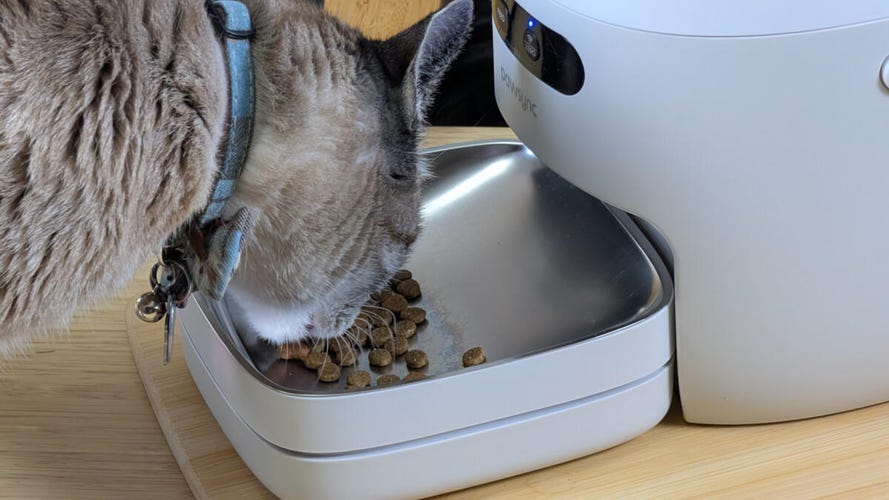 pawsync-smart-pet-feeder-on-desk-as-cat-eats-food-from-the-bowl