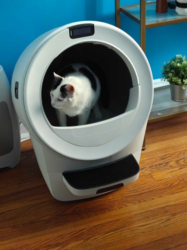A cat sits in a white Litter Robot 5, which is located on a wood floor. 