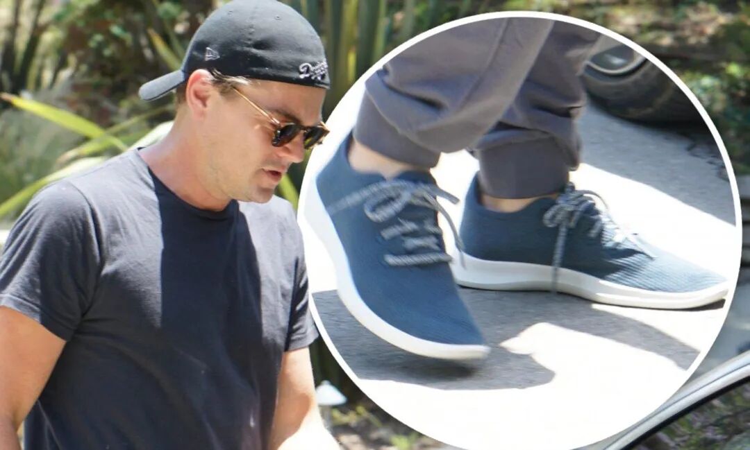 Leonardo DiCaprio sports Allbirds sneakers following investment in the  sustainable footwear brand | Daily Mail Online