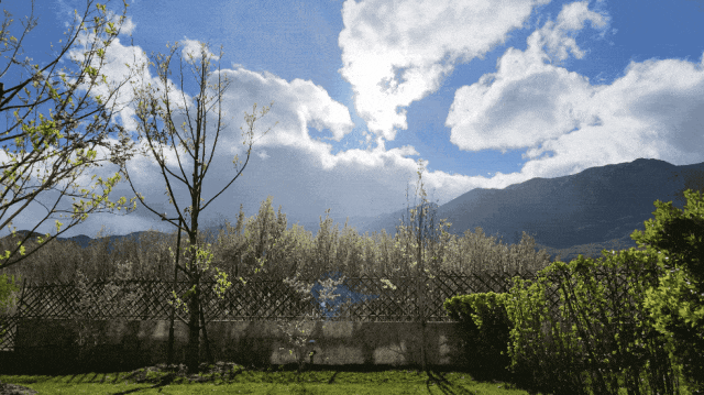 DJI_20260329172616_0310_D.2026-04-11 23_10_15.gif