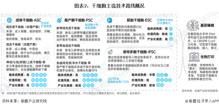 图表2：干细胞主流技术路线概况