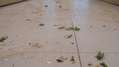 当商用清洁机器人告别“伪智能”，普渡以AI原生定义商用清洁新时代