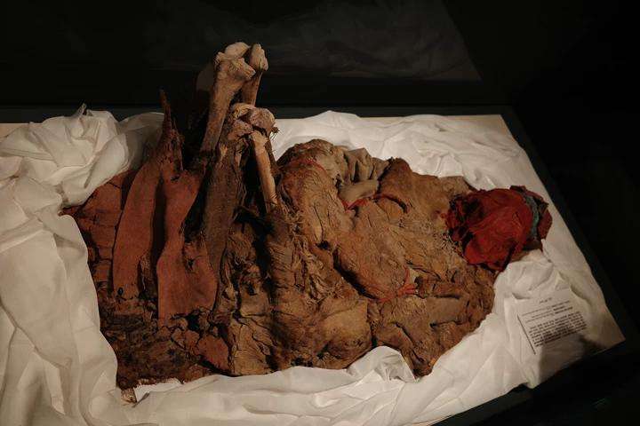 和田地区博物馆展示的一具新疆干尸文物，其被摆放的特殊腿部姿势，被认为与性别有关。新京报记者 戴轩 摄