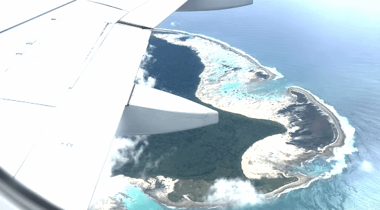 恐面临5年监禁！只因男子在这座岛上留下罐可乐