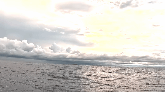 恐面临5年监禁！只因男子在这座岛上留下罐可乐