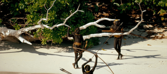 恐面临5年监禁！只因男子在这座岛上留下罐可乐