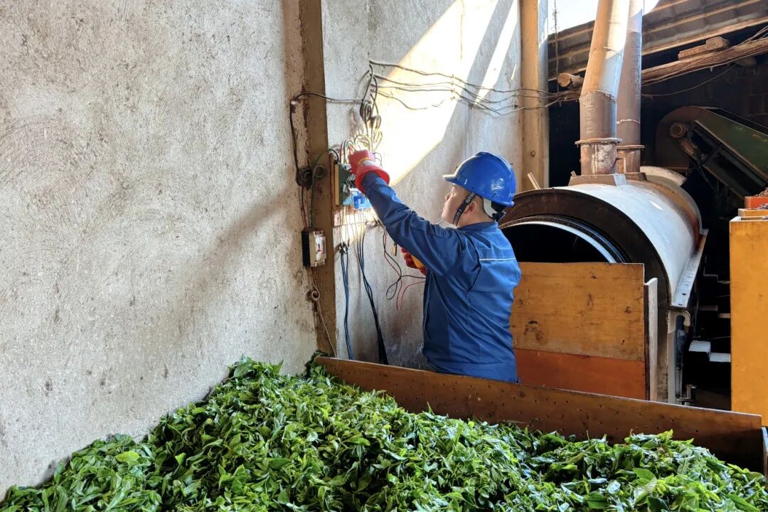 线路检查+云南墨江龙坝205兆瓦茶光互补电站+拍摄：满俊杰 (2).JPG