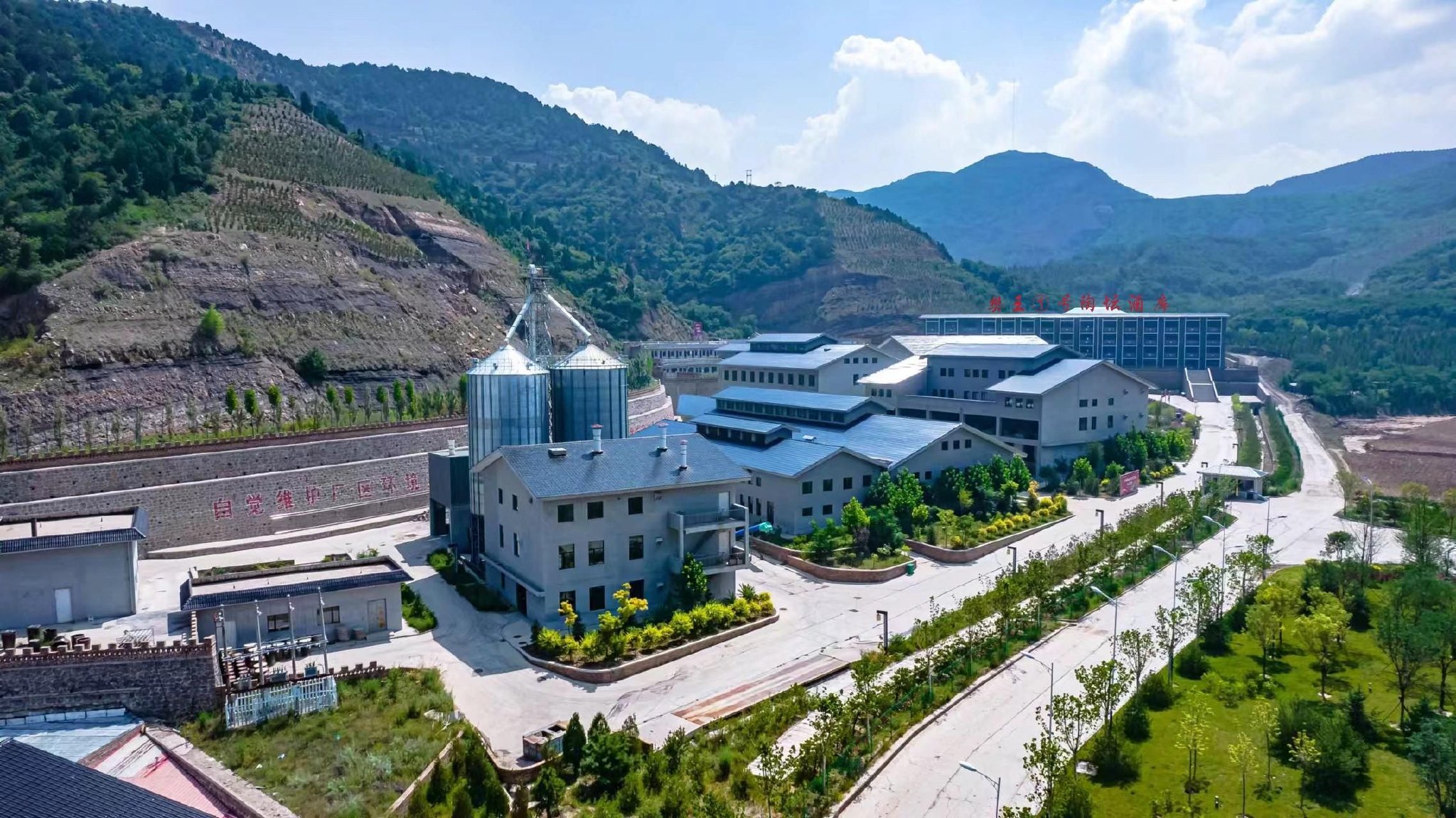 （图为樊王酒厂实拍图）